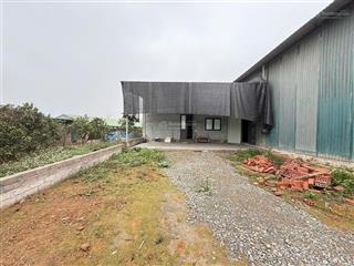 Trang trại 2137m2 mặt tiền 74m full công năng kho xưởng tại tuyết nghĩa, quốc oai, hn