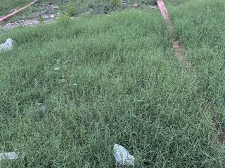 Đất nền siêu vip siêu hot, giá rẻ nhất thủ đức, sát bên vạn phúc nhỉnh 4 tỷ full thổ cư 4.5x13m