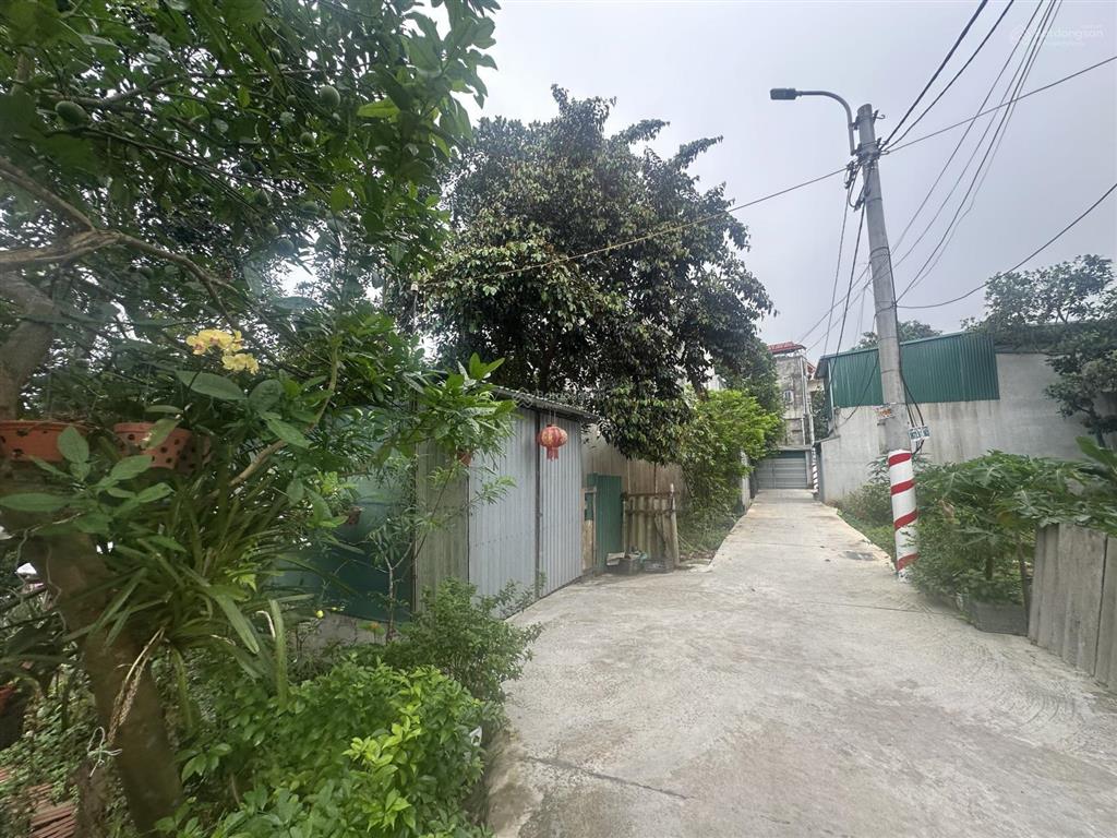 Bán đất tại đt 87a xuân sơn, sơn tây, giá ưu đãi