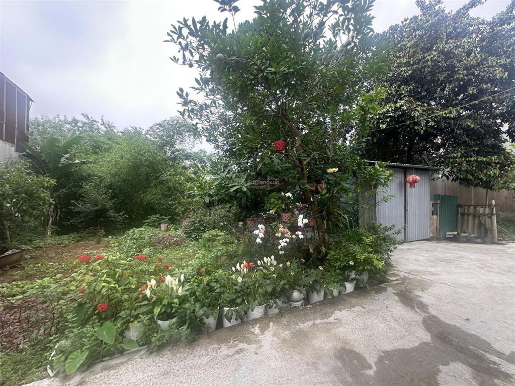 Bán đất tại đt 87a xuân sơn, sơn tây, giá ưu đãi