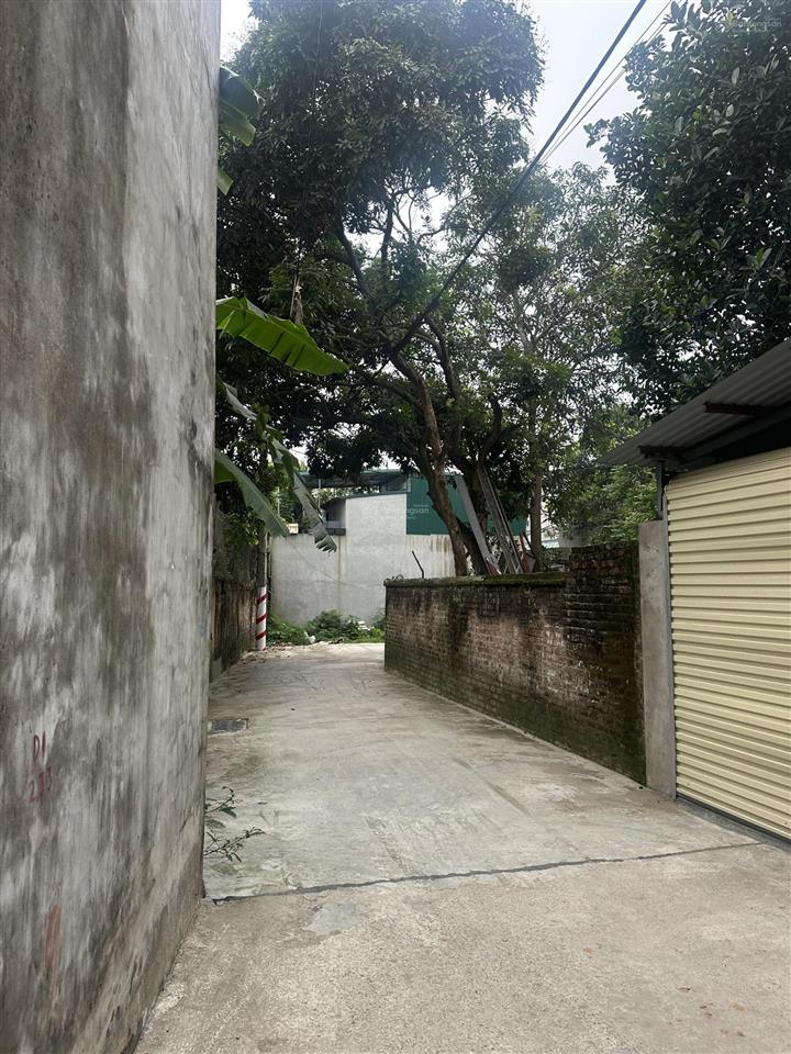 Bán đất tại đt 87a xuân sơn, sơn tây, giá ưu đãi