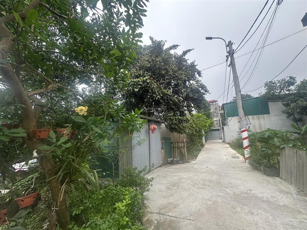 Bán đất tại đt 87a xuân sơn, sơn tây, giá ưu đãi