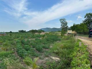 Bán lô đất 5.210m2 tại thôn tân bình, xã ninh bình, thị xã ninh hòa
