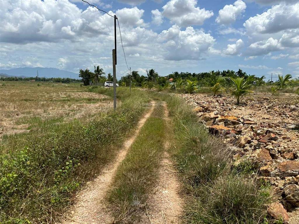 Bán đất giá rẻ xã ninh bình gần trung tâm thị xã ninh hoà 5,5 tỷ