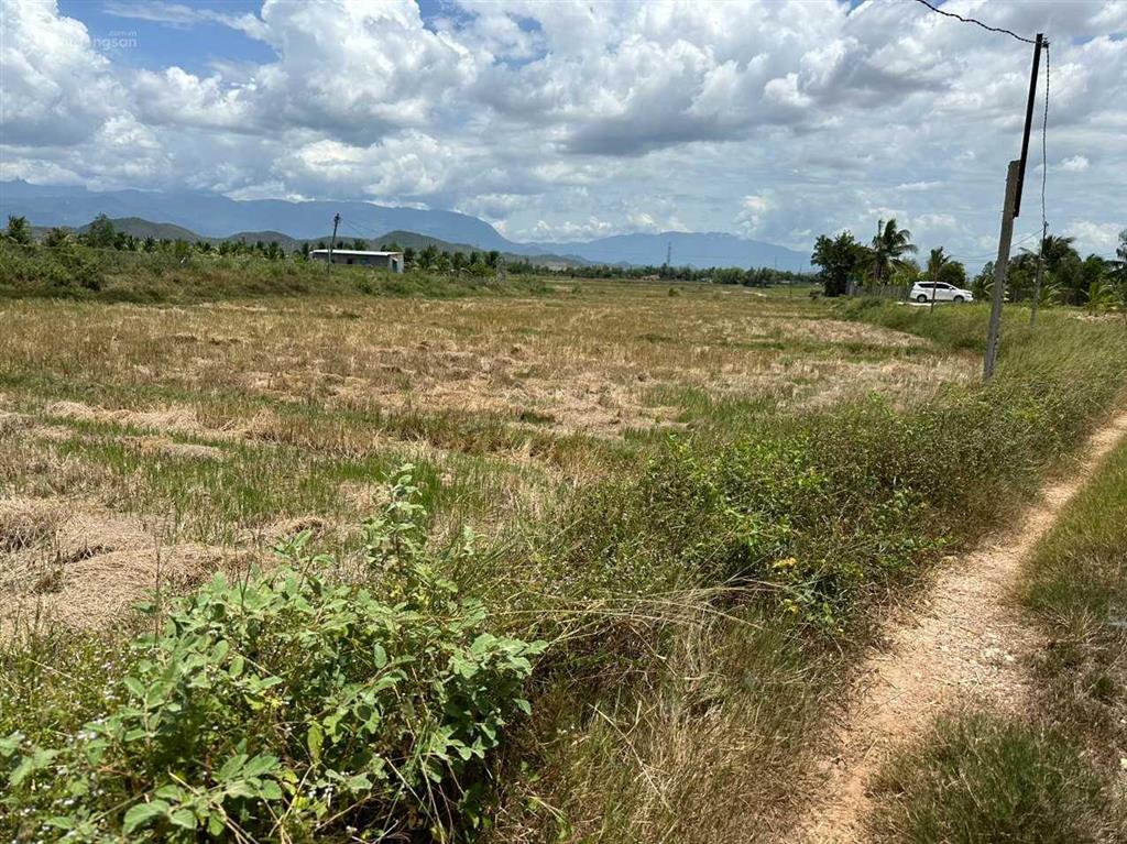 Bán đất giá rẻ xã ninh bình gần trung tâm thị xã ninh hoà 5,5 tỷ