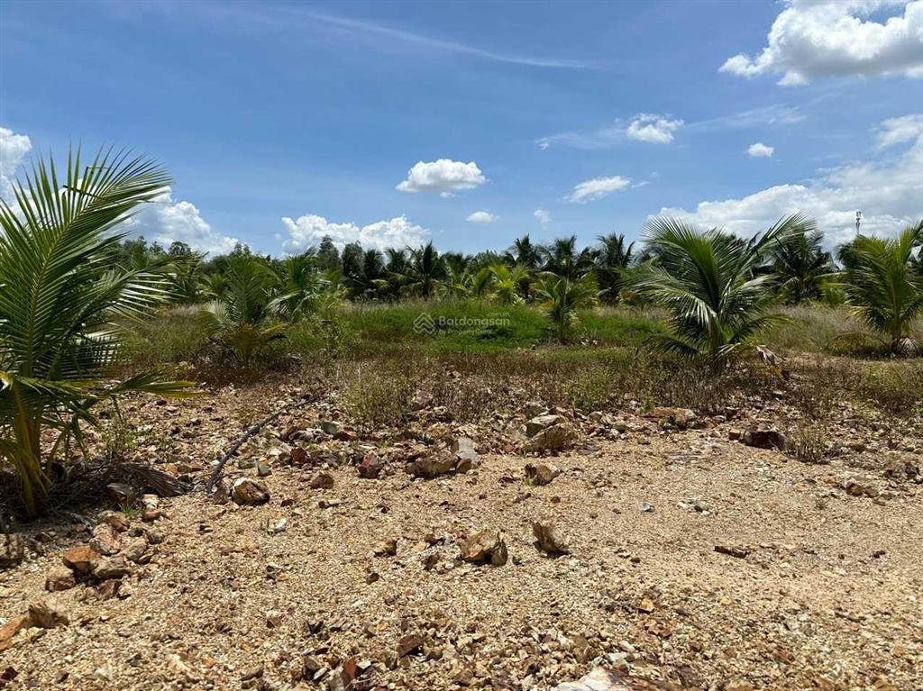 Bán đất giá rẻ xã ninh bình gần trung tâm thị xã ninh hoà 5,5 tỷ