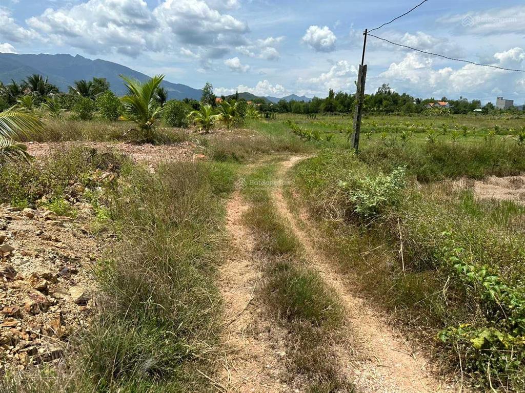 Bán đất giá rẻ xã ninh bình gần trung tâm thị xã ninh hoà 5,5 tỷ