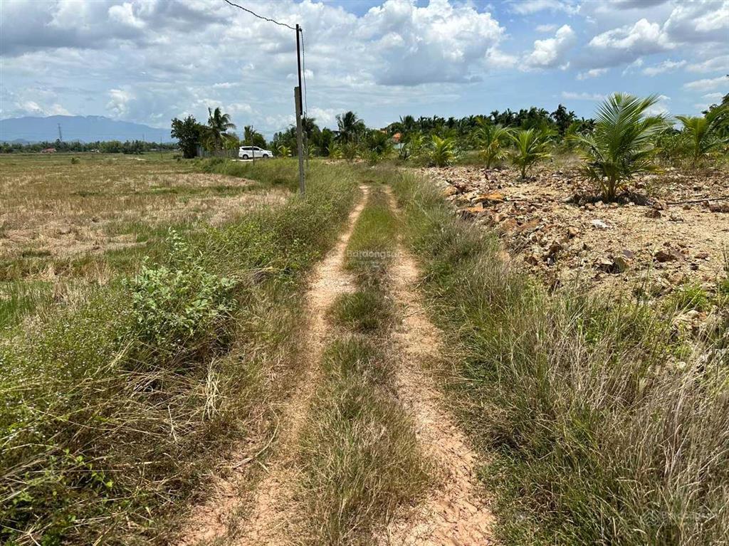 Bán đất giá rẻ xã ninh bình gần trung tâm thị xã ninh hoà 5,5 tỷ