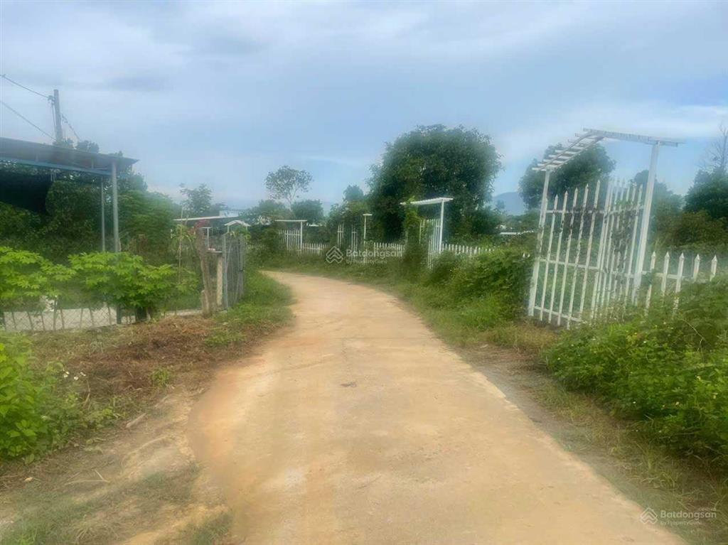 Bán lô đất 1.000m2 tại thôn suối cau, xã khánh đông, huyện khánh vĩnh