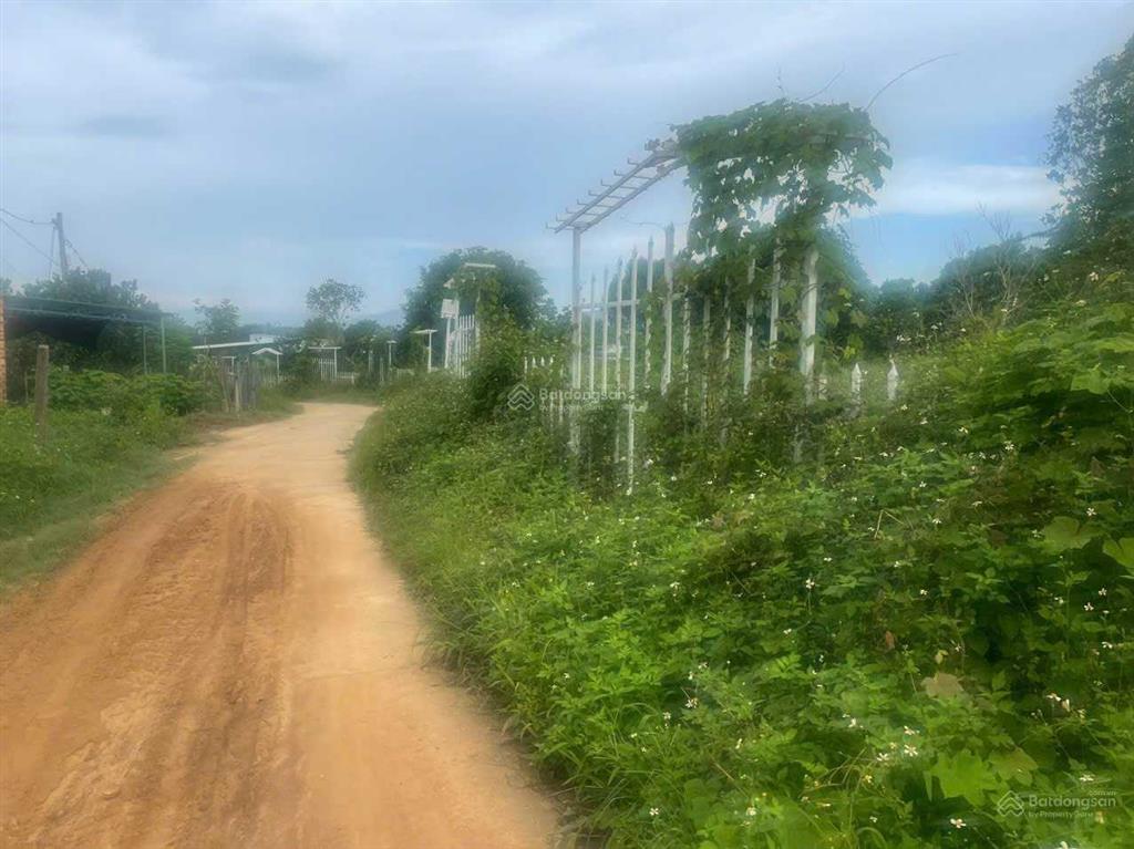 Bán lô đất 1.000m2 tại thôn suối cau, xã khánh đông, huyện khánh vĩnh