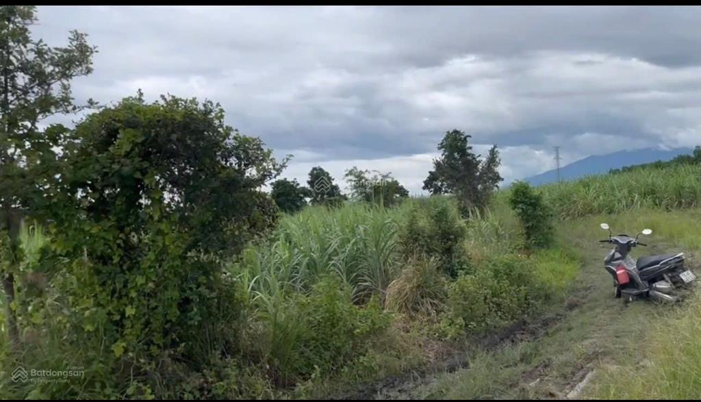 Bán đất xã ninh tây có dt 20.439 m2 gần đường vận hành