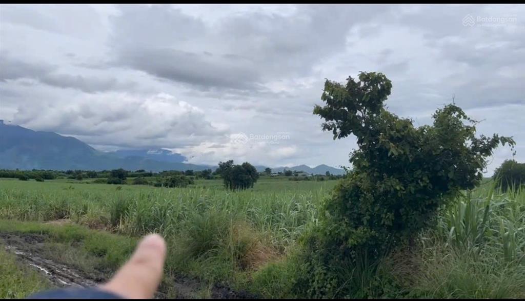 Bán đất xã ninh tây có dt 20.439 m2 gần đường vận hành