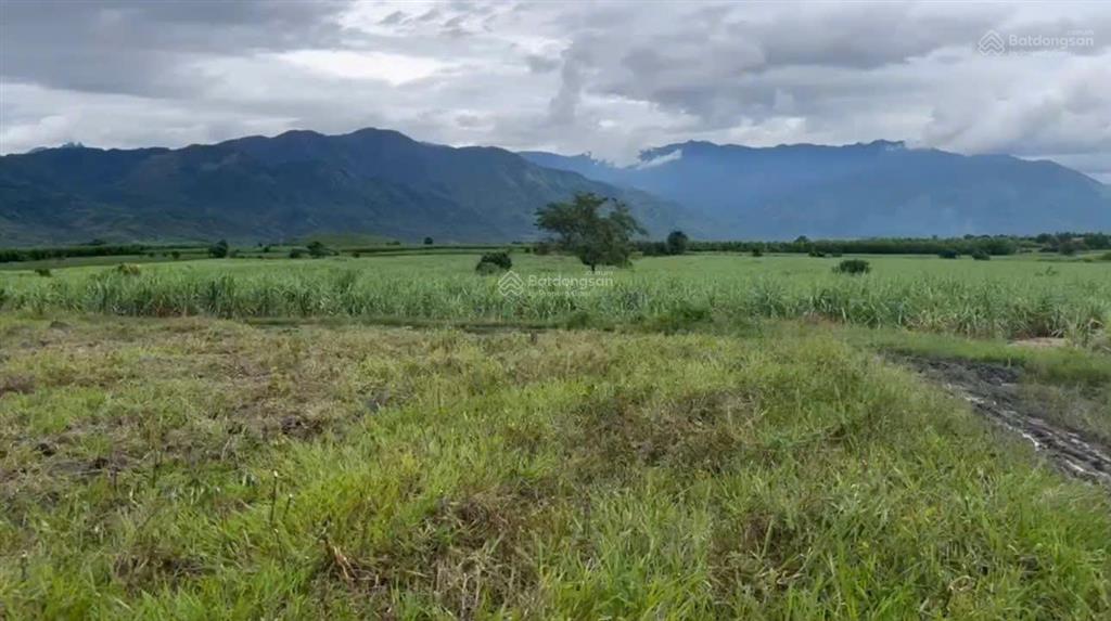 Bán đất xã ninh tây có dt 20.439 m2 gần đường vận hành