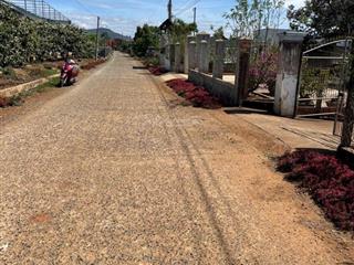 Bán đất xã liên hiệp gần sân bay, trung tâm, chợ, trường học