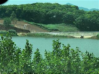 Bán đất xã đồng lương, cẩm khê 0912 202 ***