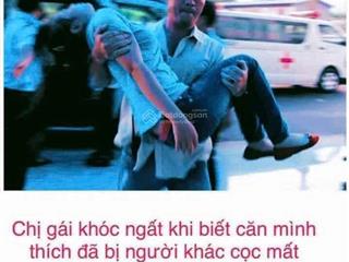 Bán đất tại đường nguyễn mậu tài, thị trấn trâu quỳ, gia lâm, hà nội, 36,5 tỷ, 226 m2