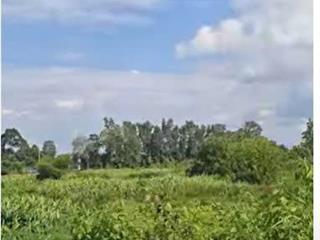CẦN BÁN GẤP LÔ ĐẤT VEN SÔNG SÀI GÒN – CỦ CHI
