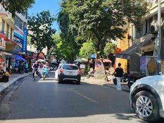 Bán đất mặt phố thuỵ khuê gần hồ tây mặt tiền lớn kinh doanh, doanh thu lớn giá tốt hơn 300triệu/m