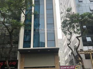 Siêu phẩm building mặt phố nguyễn chánh 70mx8t thang máy, thông sàn vỉa hè giá 50.9 tỷ