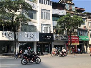 Mặt phố núi trúc kinh doanh cực đỉnh dt 52m2x5t vỉa hè giá 29.8 tỷ