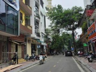 Phân lô ô tô tránh phố thành côngba đình dt60mx5t kinh doanh văn phòng,ở sướnggiá 21.9 tỷ