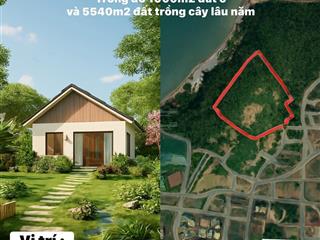 Bán gấp khu đất 6540m2 tại phường hùng thắng hạ long | pháp lý rõ ràng tiềm năng sinh lời cao