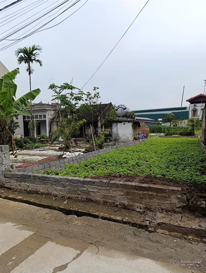 F0 xâm xuyên hàng ấp ủ 30 năm nay giờ mới tung ra thị trường giá đầu tư, trục chính đường thôn
