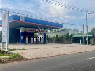 Bán đất nông nghiệp và thổ cư mặt tiền lý thái tổ, xã long tân, huyện nhơn trạch, tỉnh đồng nai.