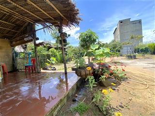 Bán đất tại đường tam thôn hiệp, xã tam thôn hiệp, cần giờ, hồ chí minh.