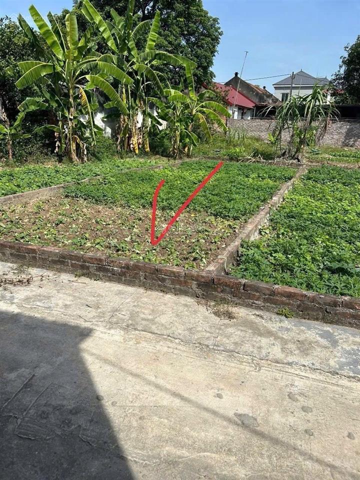 Chính chủ cần tiền bán nhanh 60m2 yên tàng, bắc phú