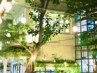 400m2, bán nhà mặt tiền, phan văn hớn, 2 tầng, chỉ 16 tỷ hơn