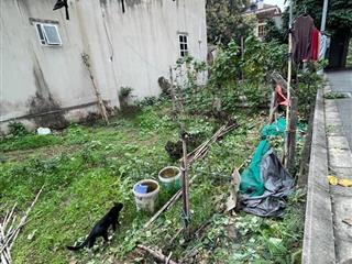 Hiếm đông dư 44m phân lô  ôto đỗ cửa  giá 3tỷ