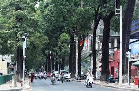 Bán mặt tiền sương nguyệt ánh khu đất vàng tuyệt tác kiến trúc giữa trung tâm sài gòn