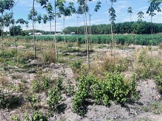 Bán đất cao bá quát, 668 triệu, 200m2, chơn thành, bình phước