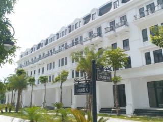 Tổng hợp danh sách các biệt thự liền kề, sh đang cho thuê tại kđt louis hoàng mai tháng 8/2025