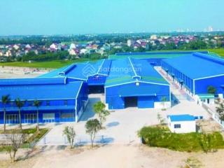 Chúng tôi cần cho thuê kho xã hưng đạo, mặt đường ql46, diện tích 1000m2 đầy đủ nghiệm thu pccc