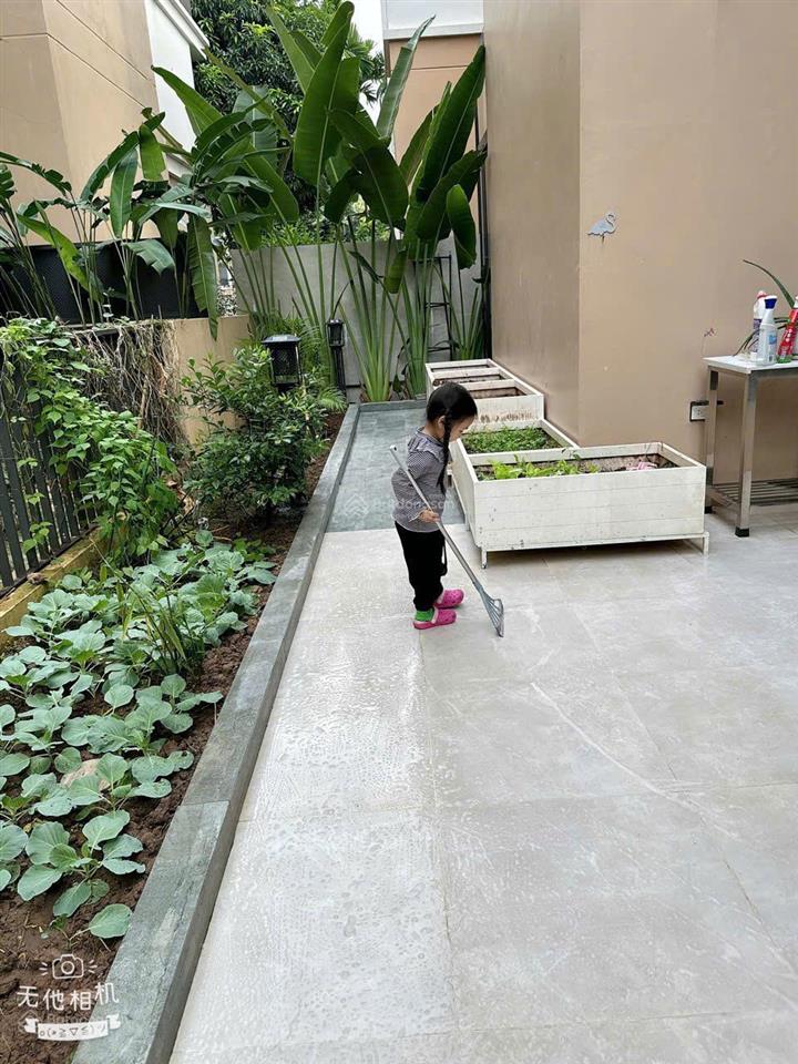 Cần bán gấp siêu biệt thự hud trầu cau 240m2. giá tốt