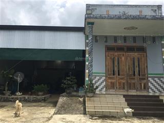 Bán nhà đất đẹp mặt tiền 20,8m  hướng đông nam  đã sẵn nhà cấp 4  lộc châu, tp bảo lộc