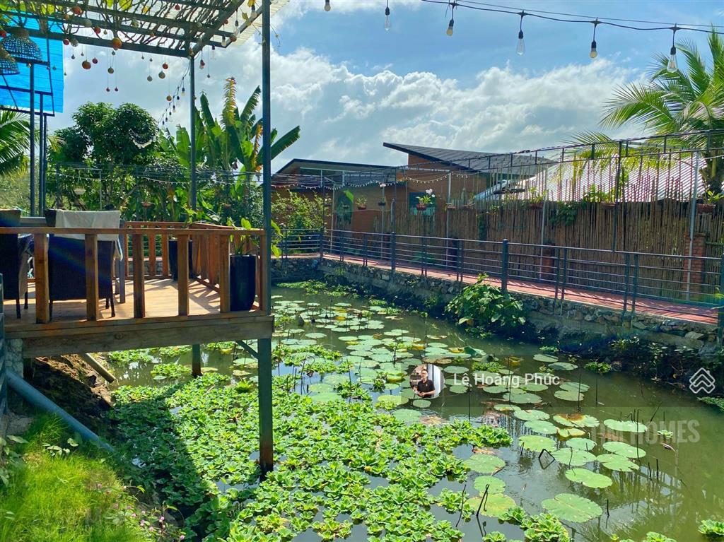 Bán farmstay cách nha trang 15ph  2593m2  full nội thất, dịch vụ lưu trú tại diên khánh