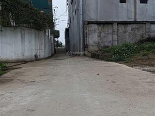 Mảnh đất đường thông rộng ô tô đỗ cửa giá rẻ tự nhiên  thường tín * diện tích 44m2