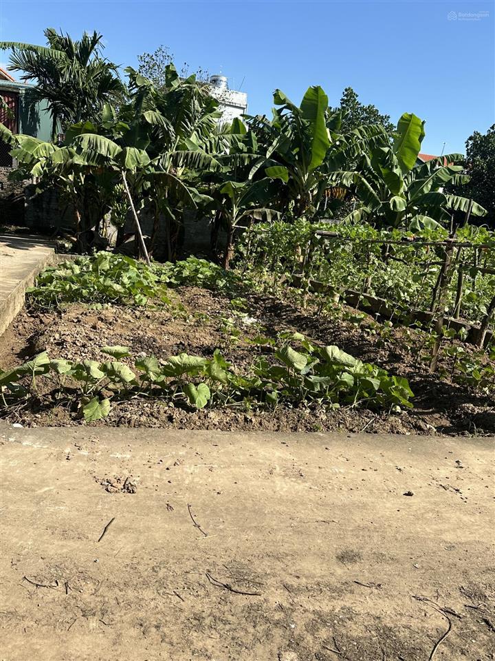 Lô góc đẹp ô tô đỗ cửa tự nhiên, thường tín diện tích 54,7m2, mt = hậu 5,29m