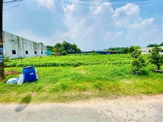 Chính chủ cần ra gấp miếng đất tân thông hội, củ chi, hồ chí minh, 130 m2, giá cực tốt