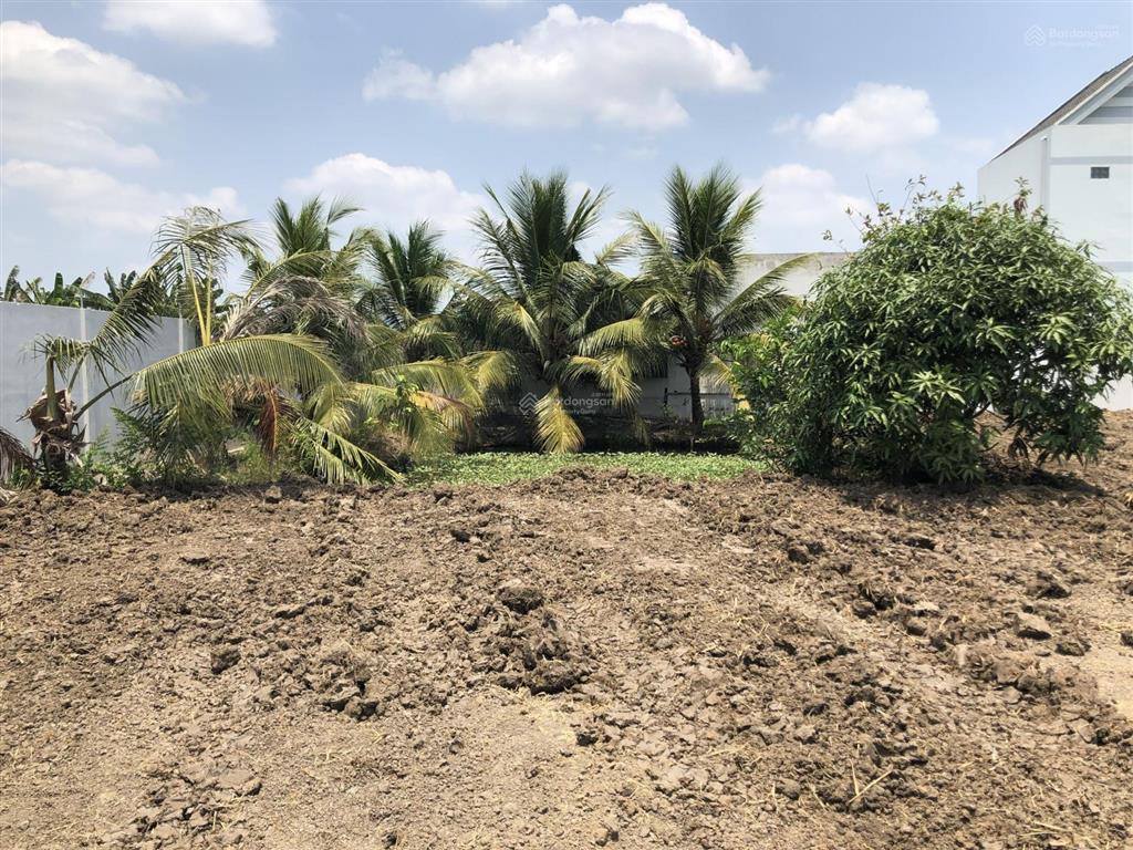 Chính chủ cần bán đất 1000m2 (151m2 thổ cư) long an 2ty4