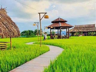Sở hữu ngay 200m² đất đẹp  giá từ 250tr  gần hội an và tam kỳ