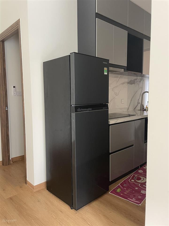 Cho thuê căn hộ 2 phòng ngủ full nội thất