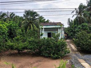 Bán đất chính chủ tại trà vinh
