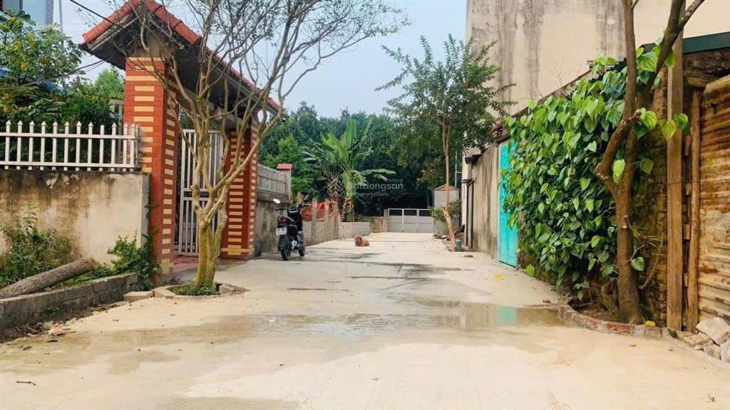 Đất đẹp, vị trí đẹp, giá đầu tư dt 187m2 full thổ cư, tuyến 2 đường 420