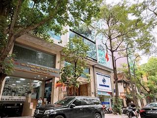 Kd đỉnh 2 tỷ/năm! toà 9 tầng nguỵ như kon tum, sát mp, pl vỉa hè rộng, mt khủng 7m, thang máy 86m2