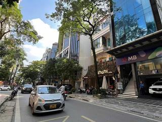 Cực hiếm! mặt phố vip trần quang diệu 4 ôtô tránh đỗ, vỉa hè 5m, 6 tầng thông sàn kd đỉnh 1.5tỷ/năm