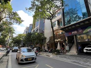 Tuyệt đẹp! toà lô góc 2 mặt tiền trần quang diệu, 2 ôtô tải tránh, 7t thang máy, mt 6m, kd đỉnh cao